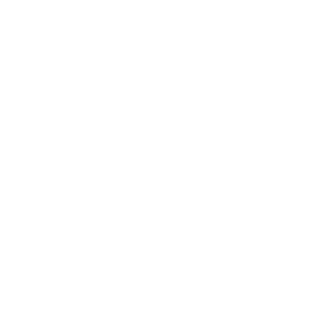 HONGQI