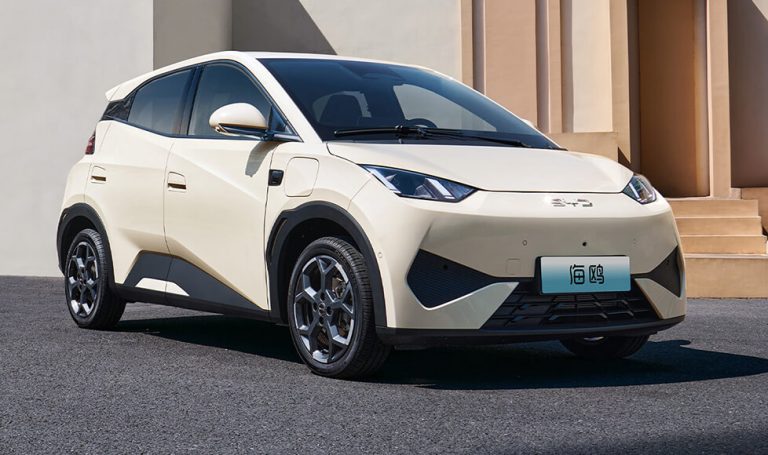 byd Seagull