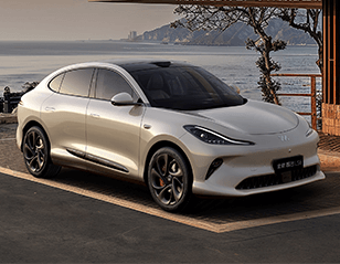 2025 IM LS6