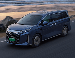 BYD XIA DM-i