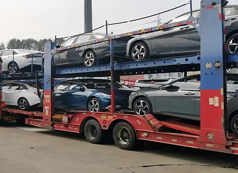 Logistics & Delivery (7 Days)