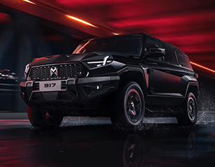 Dongfeng Warrior 917