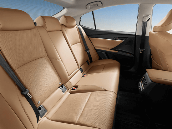 2026 Toyota Camry Interior