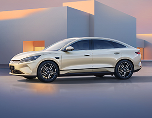 BYD Qin Plus EV China Export