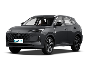 CHANGAN CS55 PLUS China Export