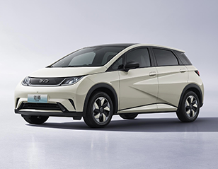 Byd Dolphin China Export
