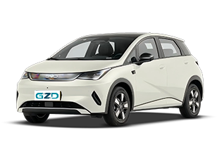 Byd Dolphin China Export