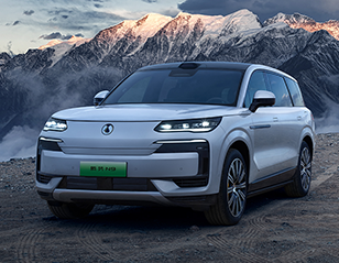 Denza N9  China Exporter