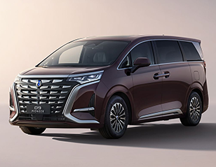 Denza D9  China Exporter