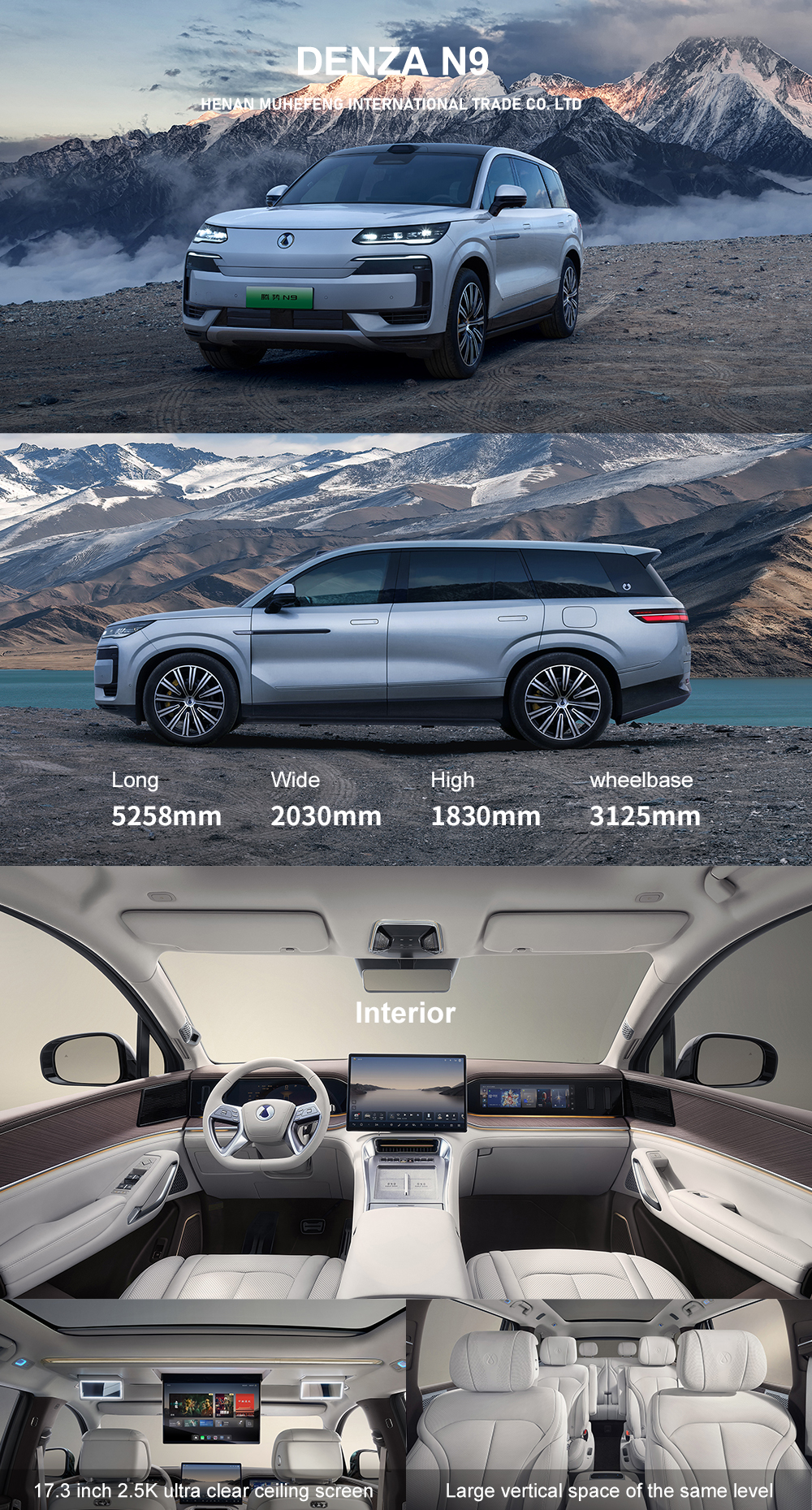 DENZA N9 China Exportes