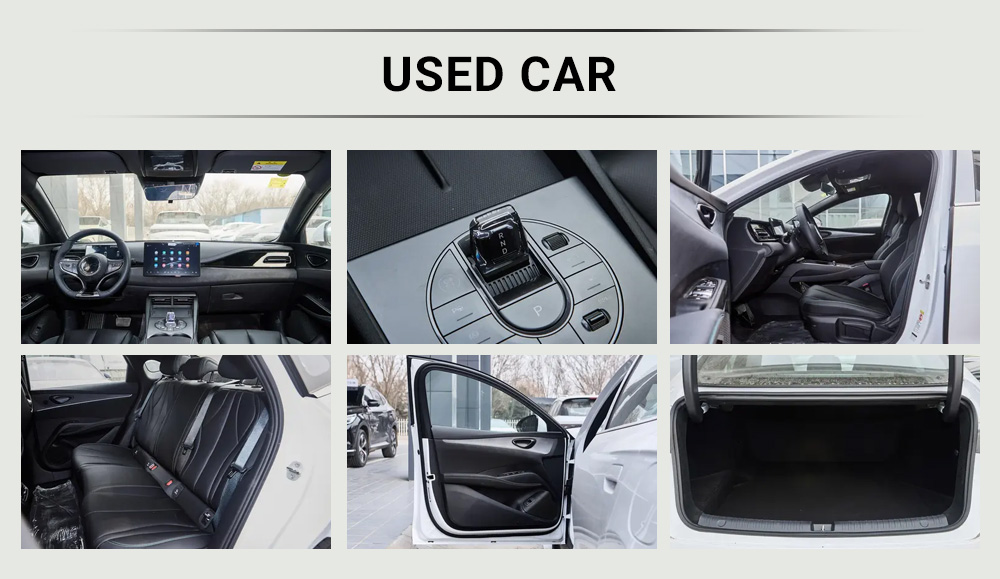 Segel BYD 06 DM-i 2025