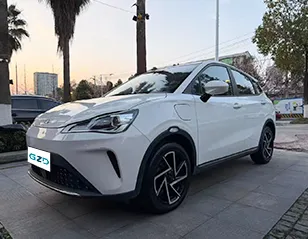 Used Neta AYA 2023
